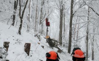 Holzschlag mit Seilbahn Stierenberg 2012